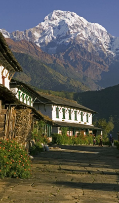 Tour Place